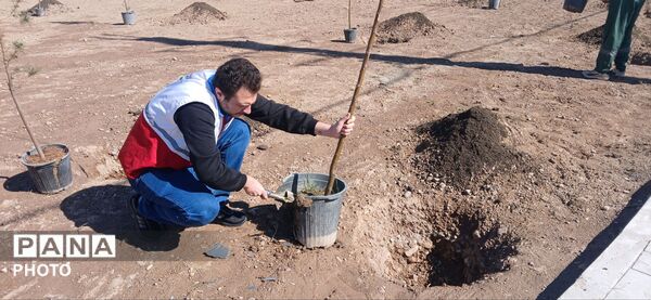 با کاشت هر نهال، ایجاد امیدی تازه در کشور