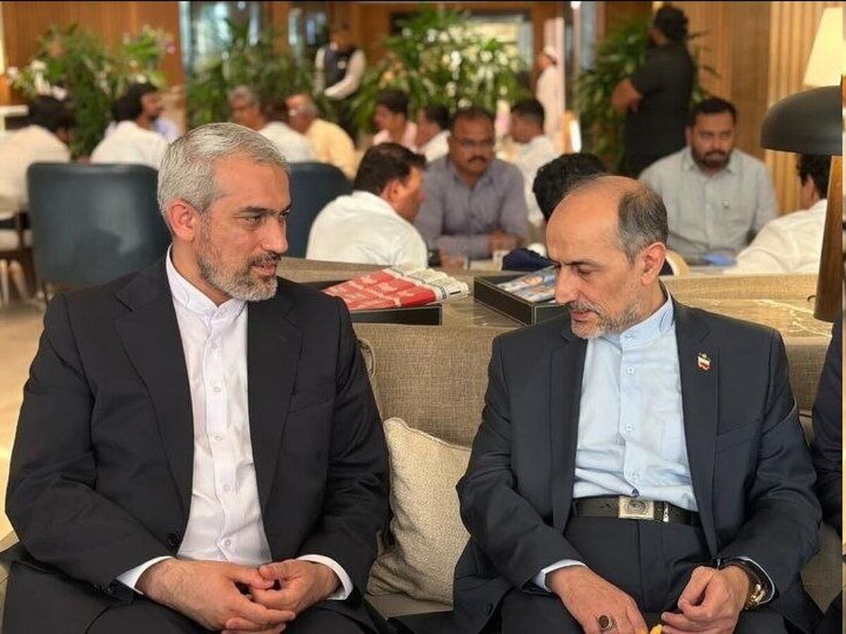 وزیر اقتصاد وارد هند شد/ ادامه دیپلماسی اقتصادی ایران در بریکس
