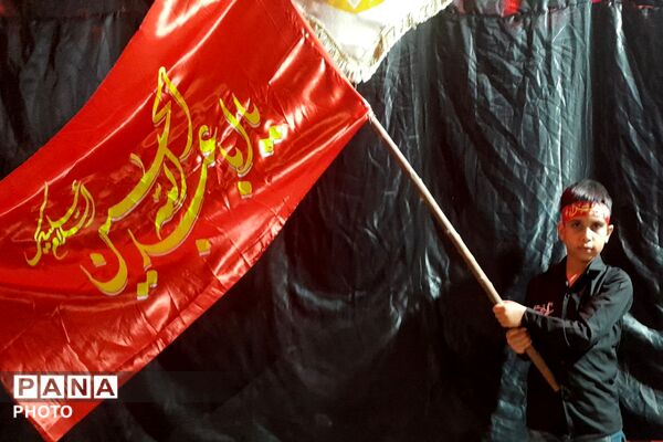 از کربلا تا ایران؛ عزاداران حسینی با پرچم ایران، پیام وحدت و استقامت را فریاد زدند