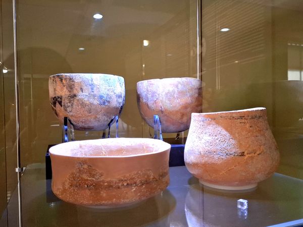 گشتی در تاریخ؛ از مدرسه دارالفنون به سمت دوره ایران باستان