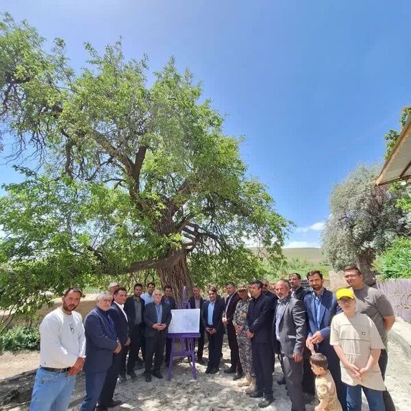 دومین جشنواره فرهنگی و ورزشی در روستای جوبند اهر
