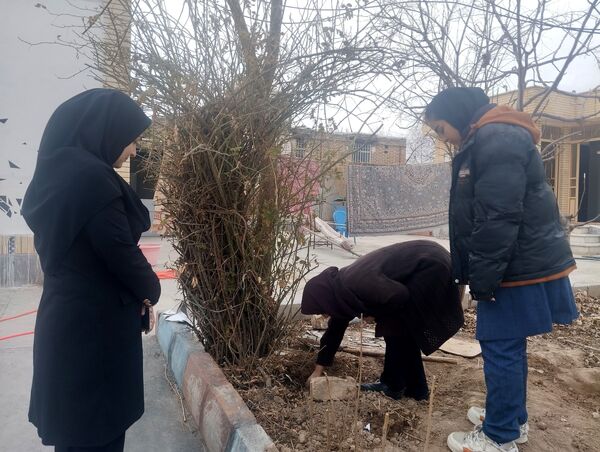 کاشت درخت در هنرستان بصیرت آشخانه