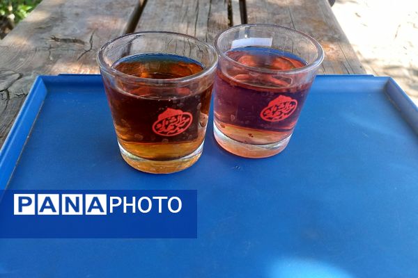 شوری دیگر در بهشت رضای مشهد مقدس 