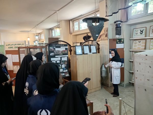 کنجکاوی پانایی ها در کشف اسرار کشاورزی و دامپروری 