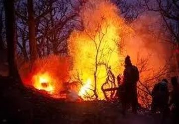 جزئیات بازدید میدانی دادستان مرکز استان مازندران از محل آتش‌سوزی جنگل‌های الیت