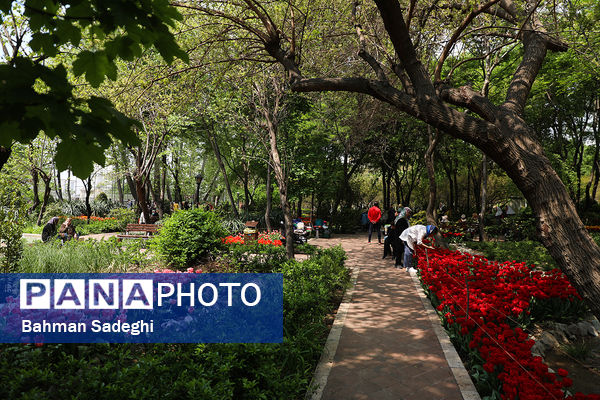 فصل لاله‌ها در بوستان باغ ایرانی
