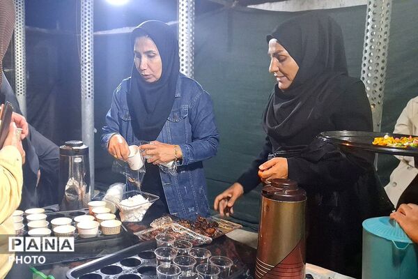 شب حماسی دیگر از شور و خروش مردمان باشتی در بیست و نهمین شب مقاومت