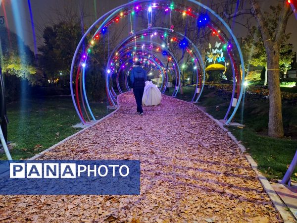 زیبایی باغ گل‌های مشهد در پاییز