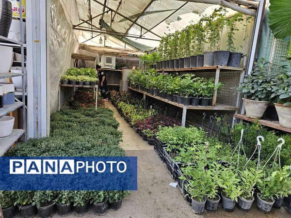 حال و هوای خاص در بازار گل محلاتی