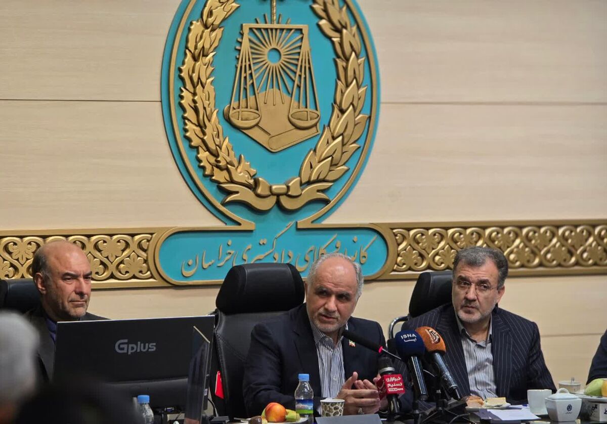 وکلا می‌توانند در تحقق دادرسی عادلانه و حل مسائل قضایی نقش‌آفرین باشند