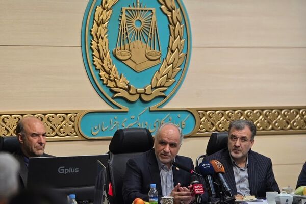 وکلا می‌توانند در تحقق دادرسی عادلانه و حل مسائل قضایی نقش‌آفرین باشند