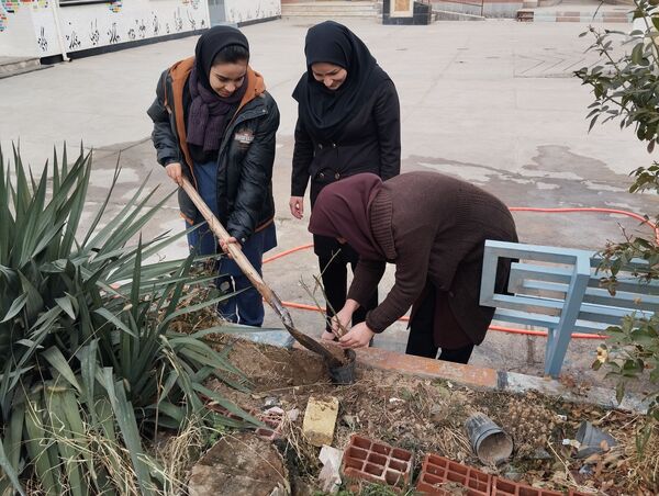 کاشت درخت در هنرستان بصیرت آشخانه