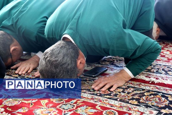 حرم مطهر رضوی، غرق در نوای مهمانان خدا