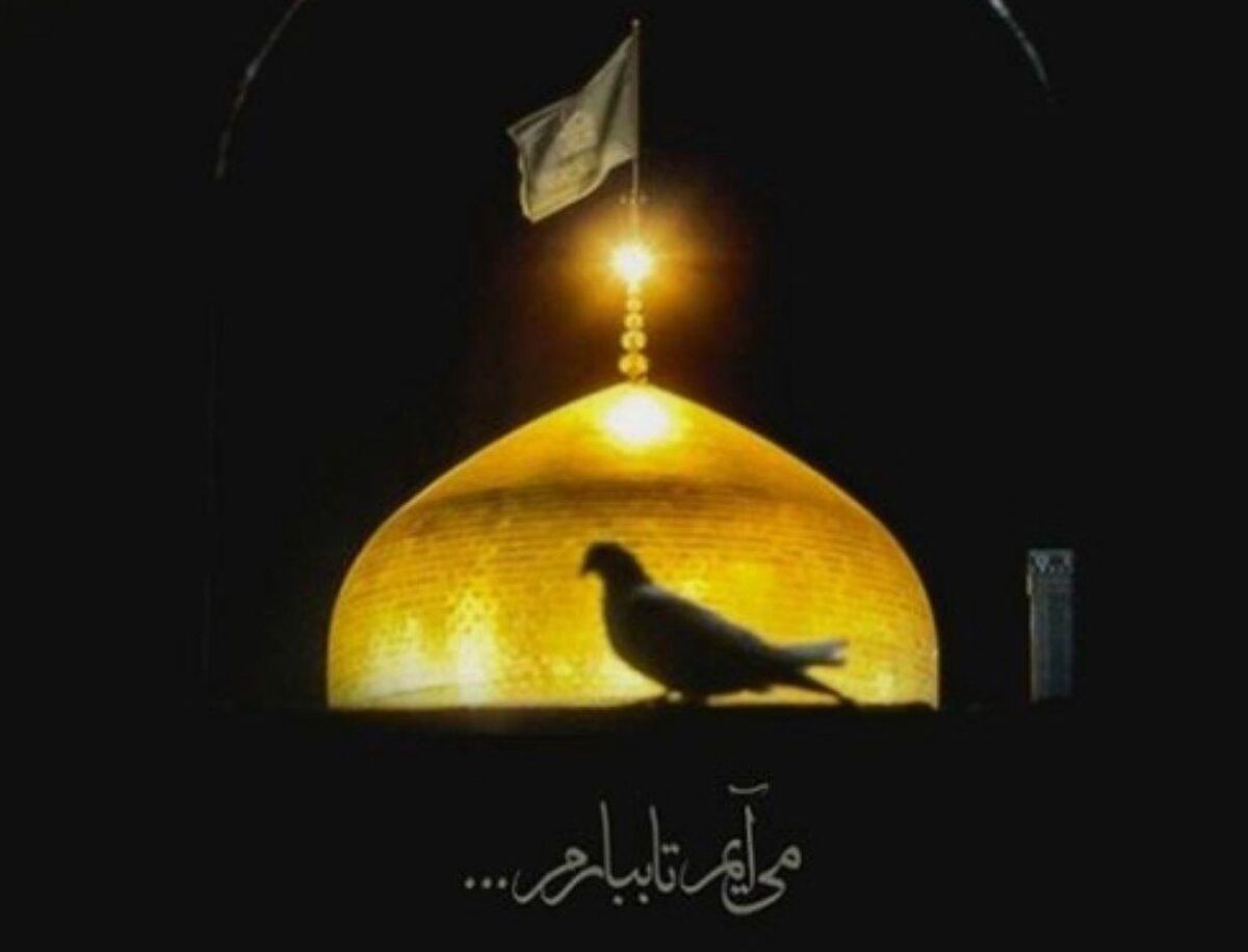شهادت امام رضا علیه السلام
