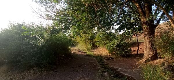 مزار گردشگری کلاته بایزید، گوهر پنهان طبیعت در دل کوهستان 