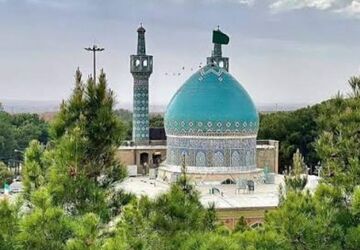 روایتی از تمدن اسلامی در دل چنارهای دیرینه