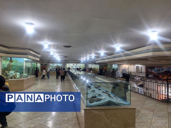 اردوی علمی ،تفریحی دانش آموزان مدرسه مهندس رحمانی فرد در پژوهش سرای علامه طباطبایی