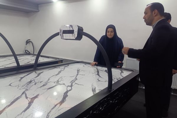 دوره آموزشی سواد سلامت با رویکرد توسعه عدالت و کیفیت آموزش و بهداشت 