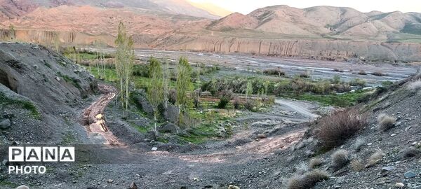 رویش شکوفه ها در روستای عیش آباد