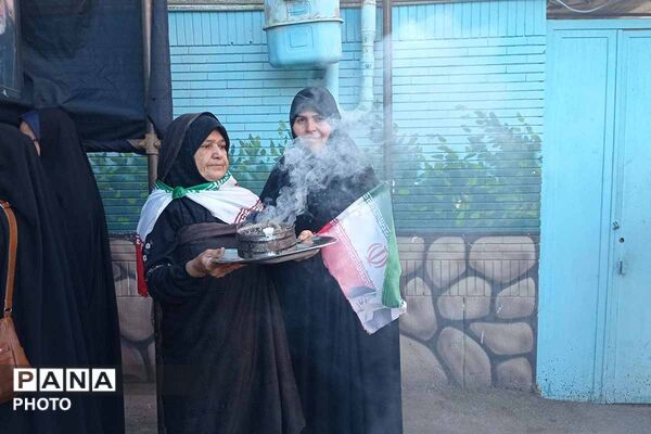 مشهدالرضا(ع) در سوگ شهادت امام رضا(ع)؛ حرم رضوی میزبان زائران و عزاداران/2