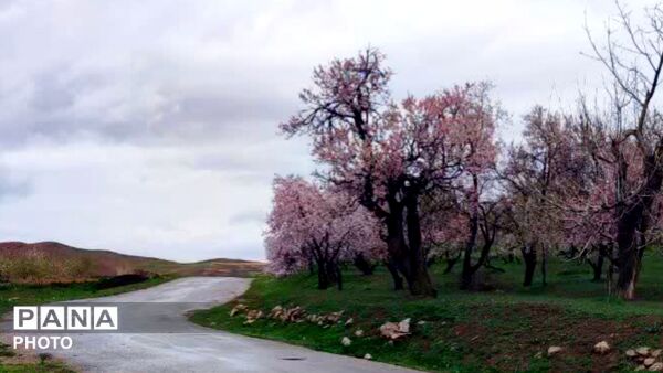 قلعه‌تک در اردیبهشت؛ جادوی باران و شکوفه