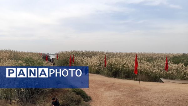 سفر به سرزمین نور؛ روایت دانش‌آموزان از حماسه‌های دفاع مقدس