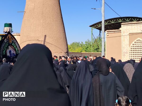 نخل‌برداری روز عاشورا در روستای صالح آباد شهرستان تفت