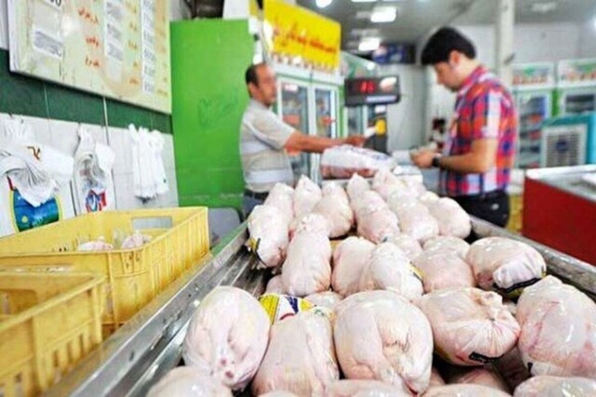 تأمین مکفی گوشت مرغ با قیمت مصوب در بازار آذربایجان غربی