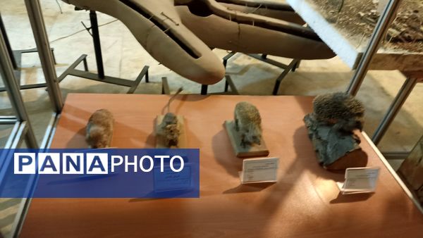 بازدید خبرنگاران پانا از موسسه گیاه شناسی کشور 