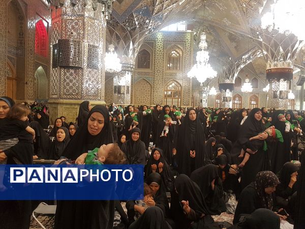 برگزاری بزرگترین اجتماع شیرخوارگان حسینی در حرم مطهر رضوی