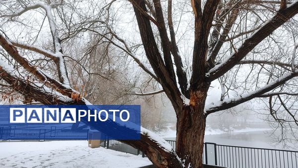 برف بی‌پایان، شهرستان بن را در آغوش سپیدی برد