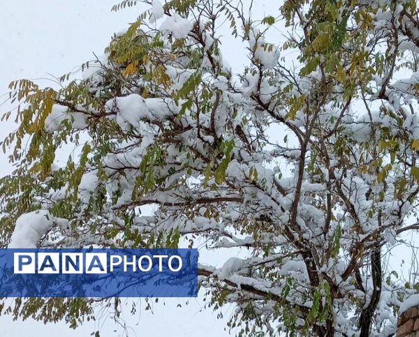 بارش دل‌انگیز برف‌ در اولین روزهای بهمن ماه