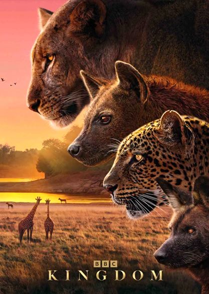 شبکه مستند در یک «قلمرو»