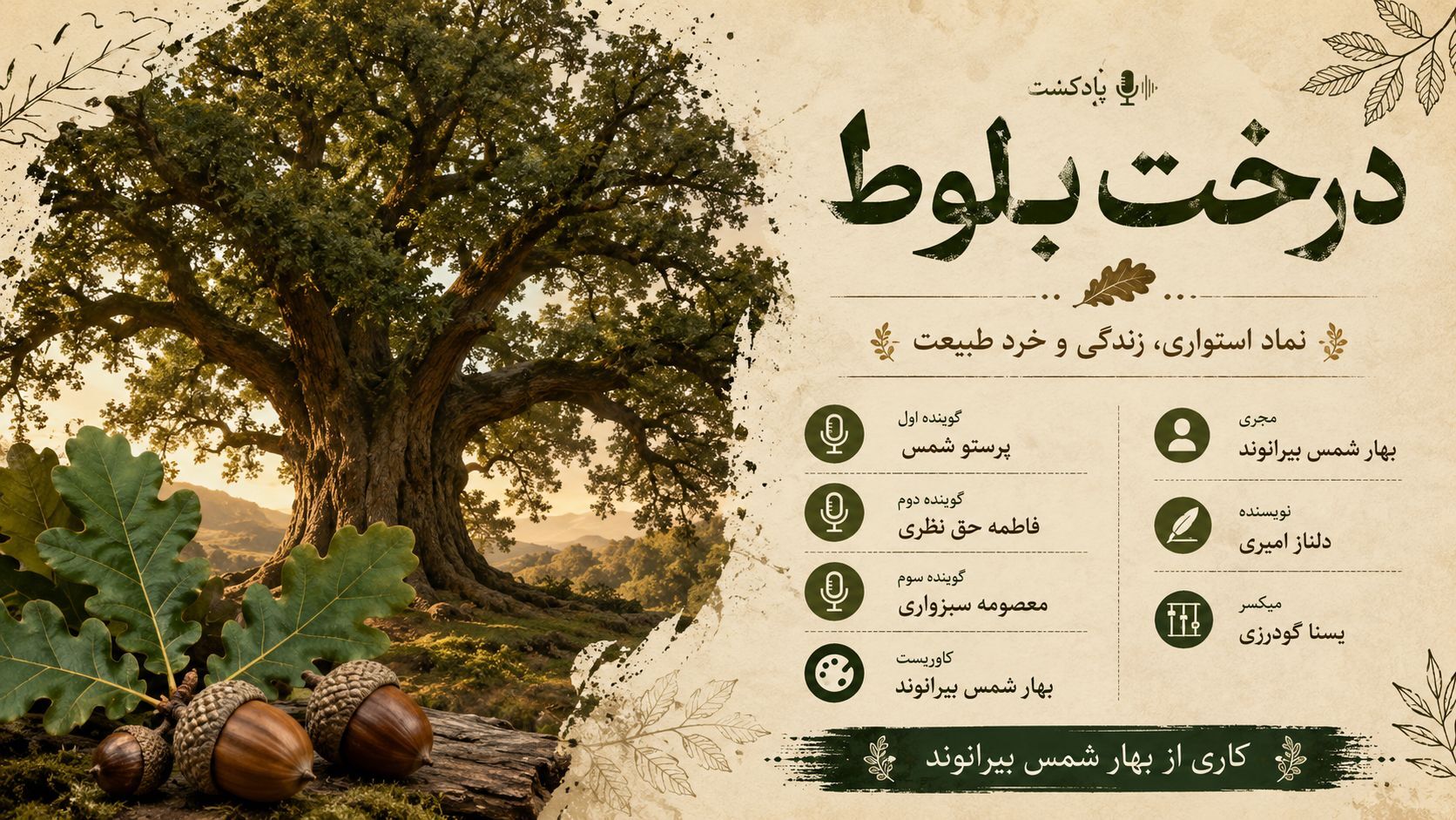 بلوط لرستان؛ میراث سبز و کهن زاگرس