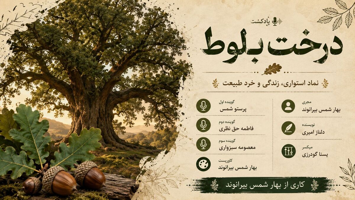 بلوط لرستان؛ میراث سبز و کهن زاگرس
