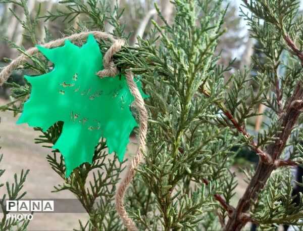 مراسم کاشت نهال در اردوگاه شهید رجایی شهرستان نیشابور