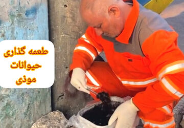 طعمه‌گذاری یکی از راه‌های حفظ اکوسیستم شهری