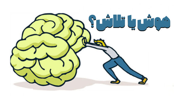 در مسیر موفقیت هوش مهم تر است یا تلاش؟