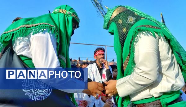 مجموعه عکس«علم از دست علمدار نیفتاده است هنوز»