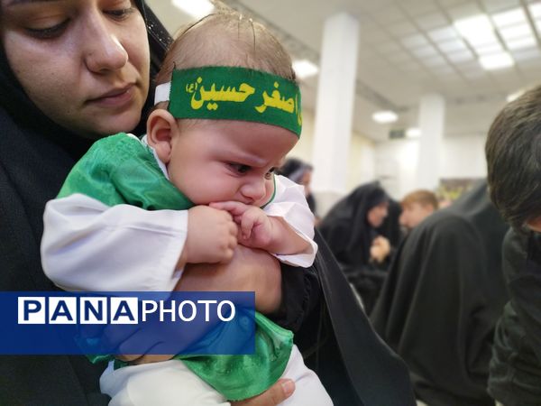 مراسم شیرخوارگان حسینی در شهرستان فریدونشهر 