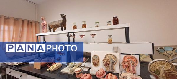 برگزاری شروع کلاس‌های پژوهش‌سرای ملاصدرای ناحیه 4 کرج