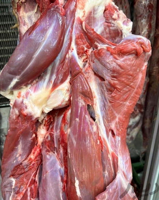 گوشت احتکاری به ارزش ۴ همت کشف شد