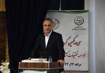 برداشت 8 میلیون تُن محصول از اراضی دیم کشور در سال گذشته