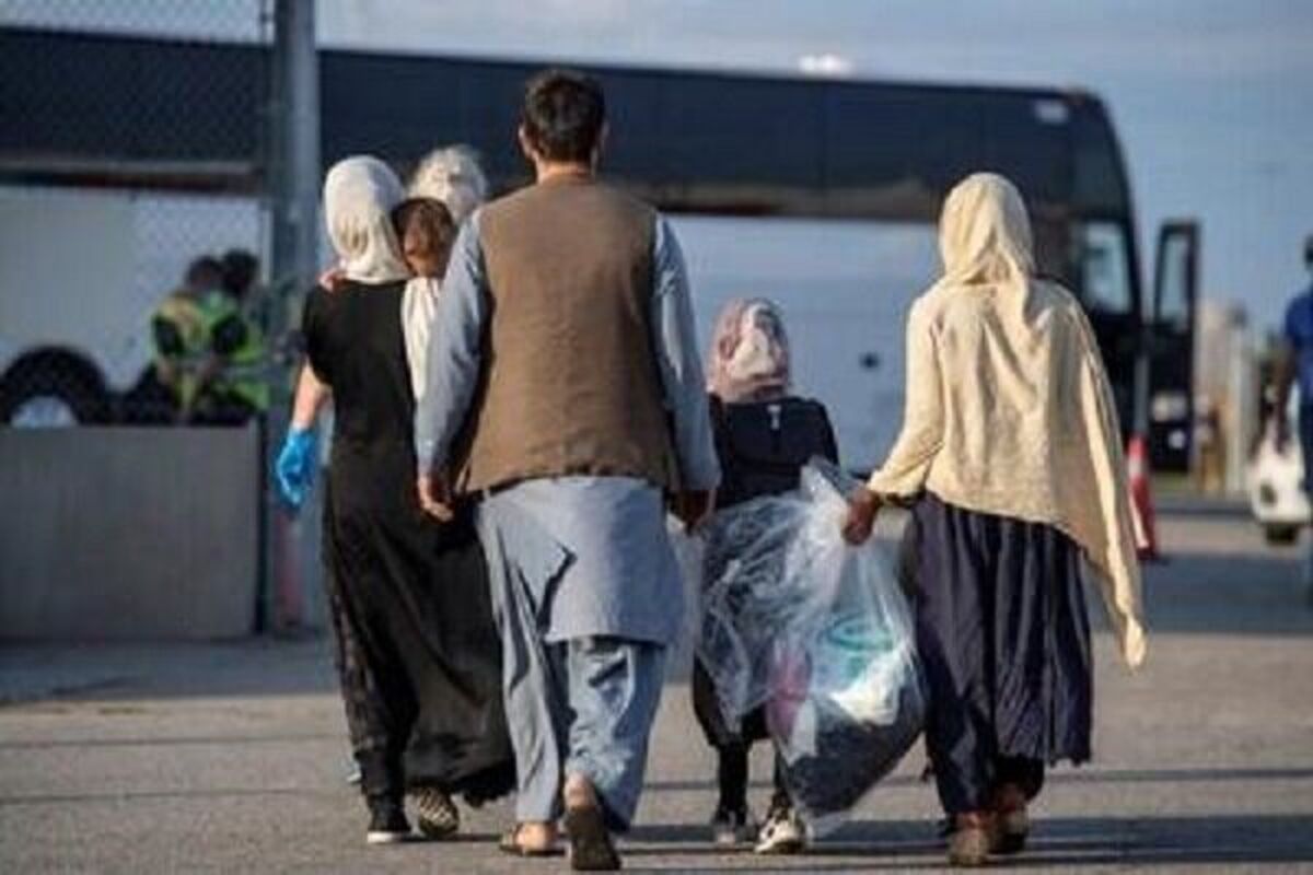 خروج بیش از ۱.۸ میلیون تبعه غیرمجاز در دولت چهاردهم