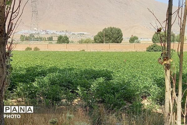 قاب‌هایی از آرامش در روستای ولیان