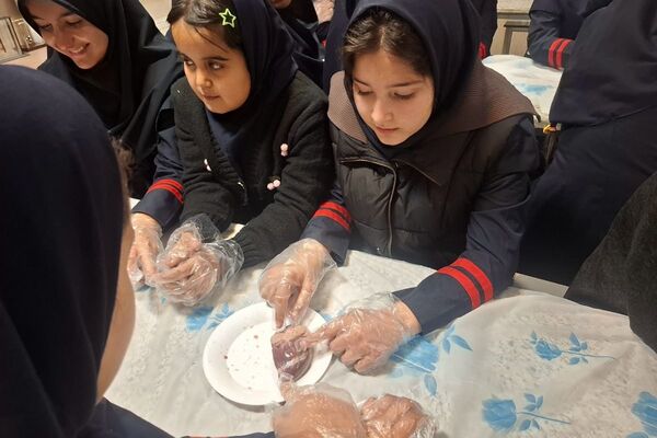 کارگاه تشریح قلب برای دانش آموزان فرزانگان شهرستان ملارد