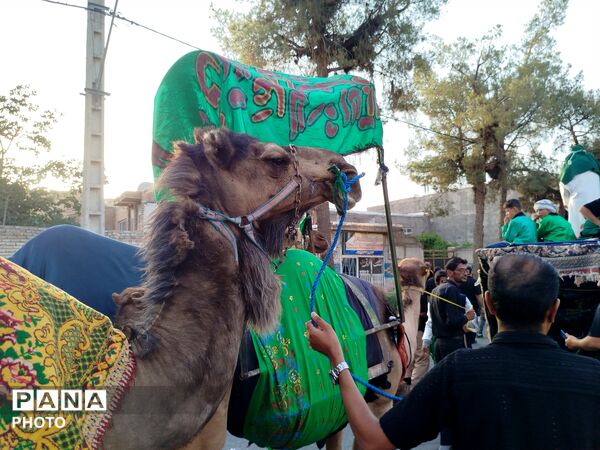دسته بنی اسد در کاشمر 