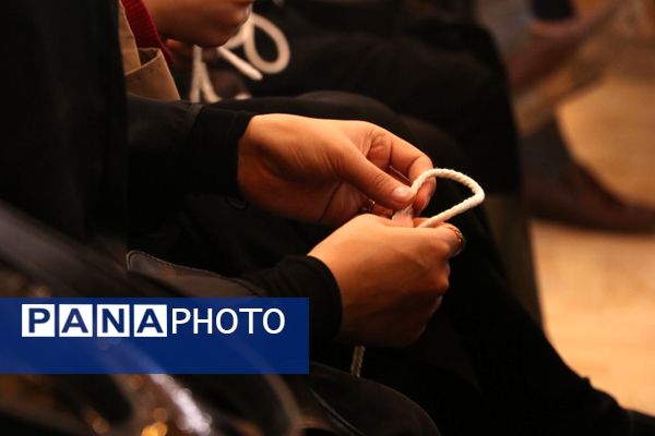 برگزاری کارگاه ضمن خدمت پیشتازان در سملقان