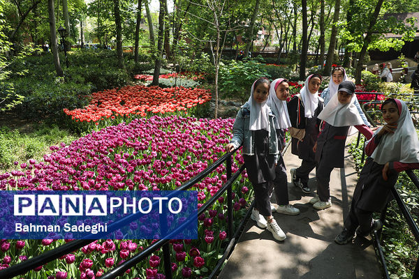 فصل لاله‌ها در بوستان باغ ایرانی