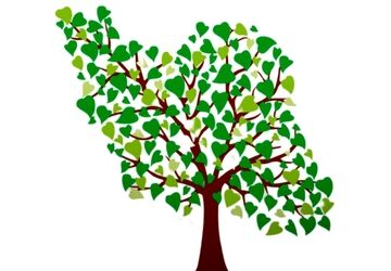 چه چیزی نماد امید و برکت است؟ 